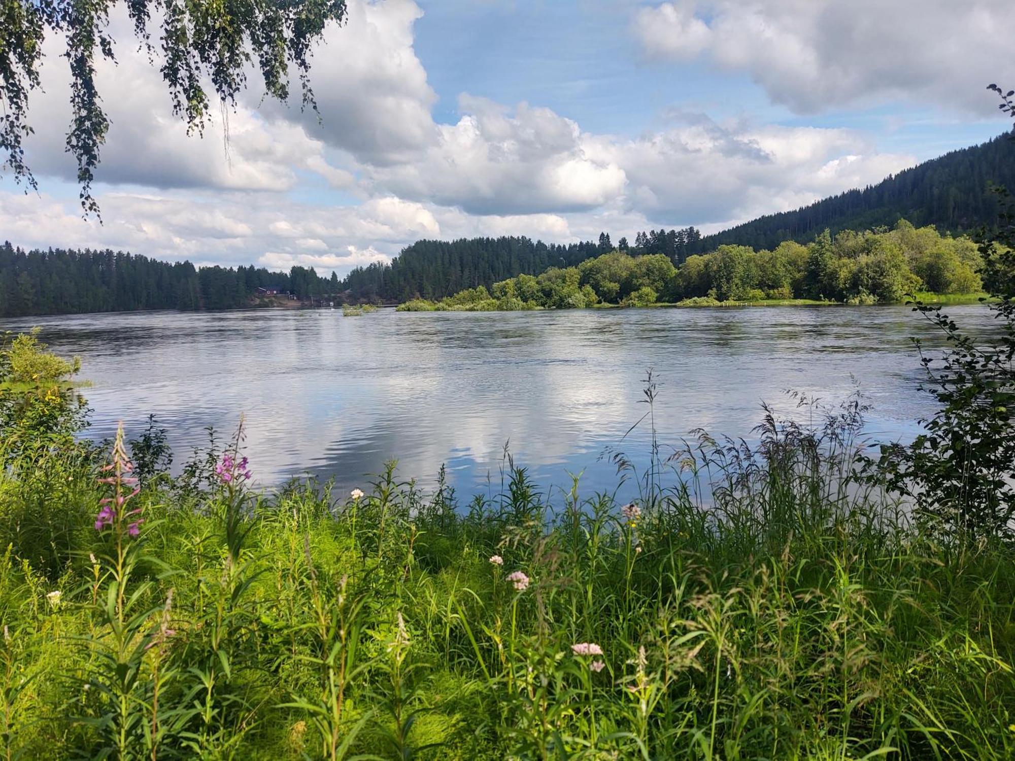 Selholmens Camping Alvsbyn Екстер'єр фото